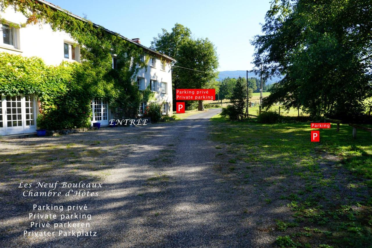 Les Neuf Bouleaux Bed and Breakfast Job Exteriör bild