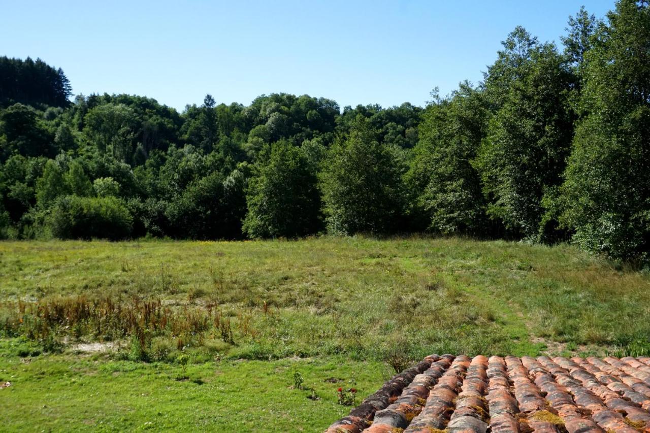 Les Neuf Bouleaux Bed and Breakfast Job Exteriör bild