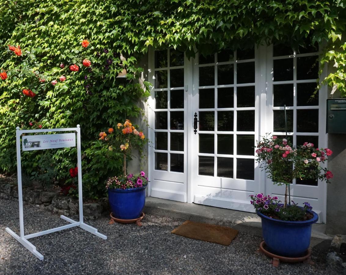 Les Neuf Bouleaux Bed and Breakfast Job Exteriör bild