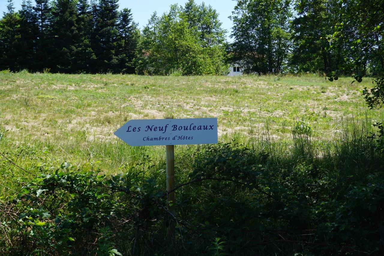 Les Neuf Bouleaux Bed and Breakfast Job Exteriör bild
