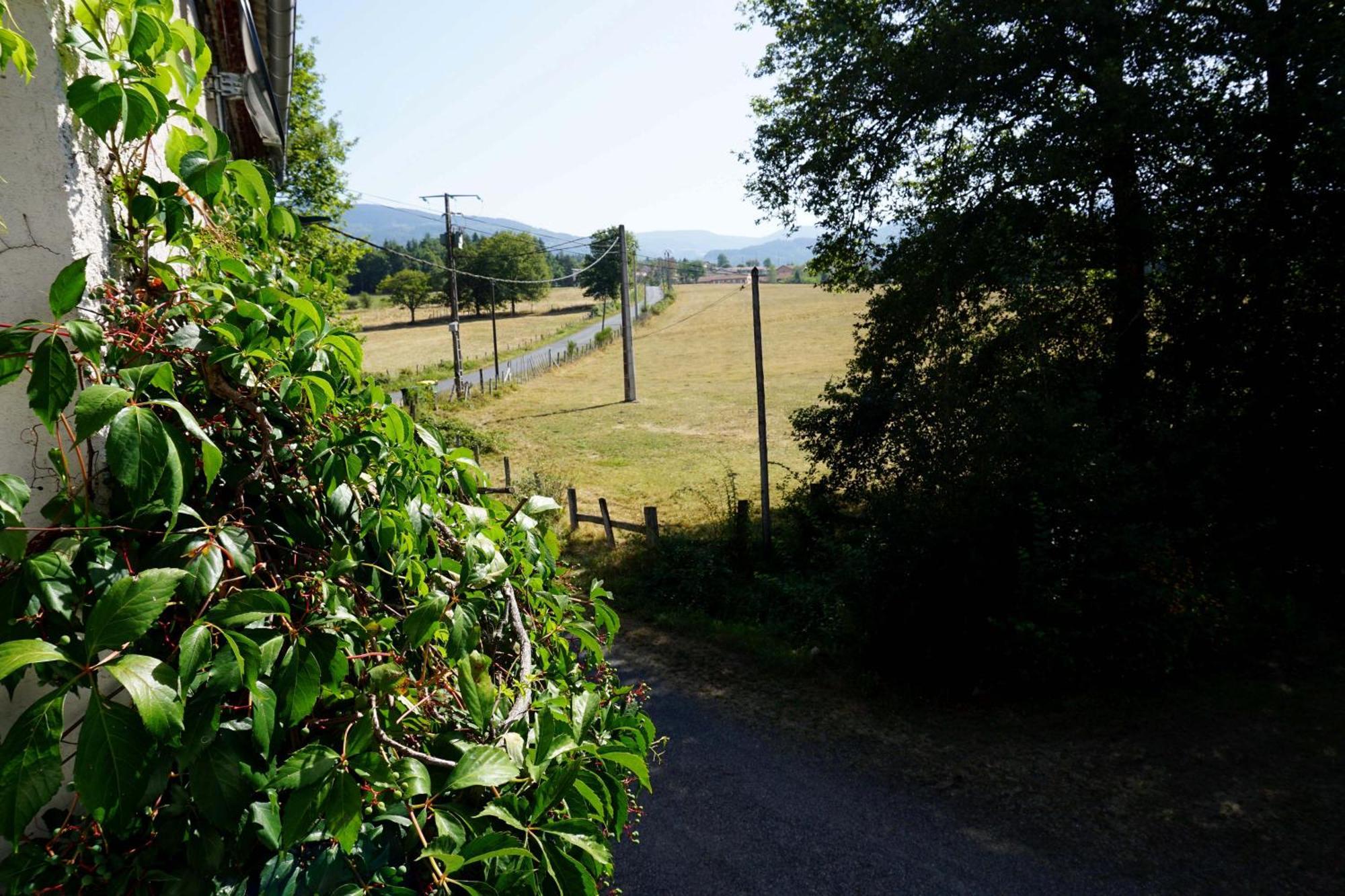 Les Neuf Bouleaux Bed and Breakfast Job Exteriör bild